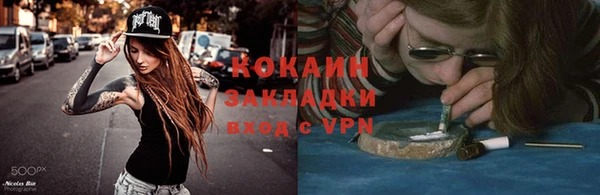 сатива Алзамай