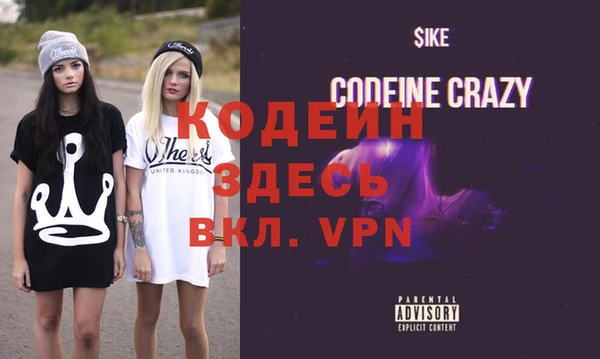 дурь Алексин