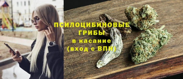 дурь Алексин