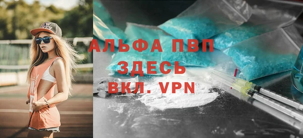 сатива Алзамай