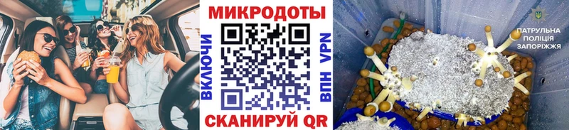 наркошоп Апатиты Галлюциногенные грибы Psilocybe