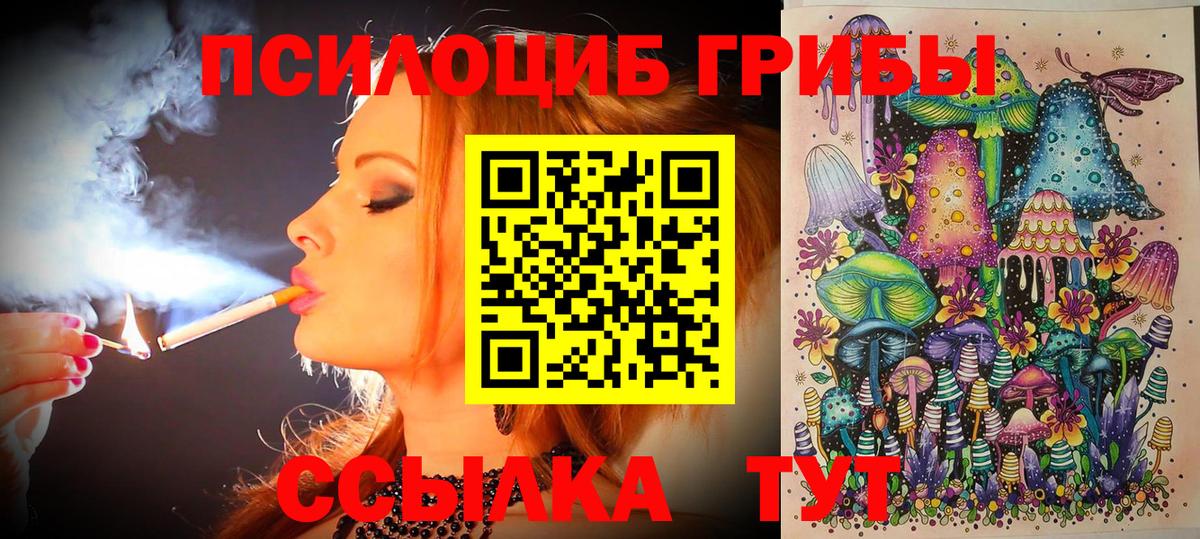 Галлюциногенные грибы Cubensis Апатиты